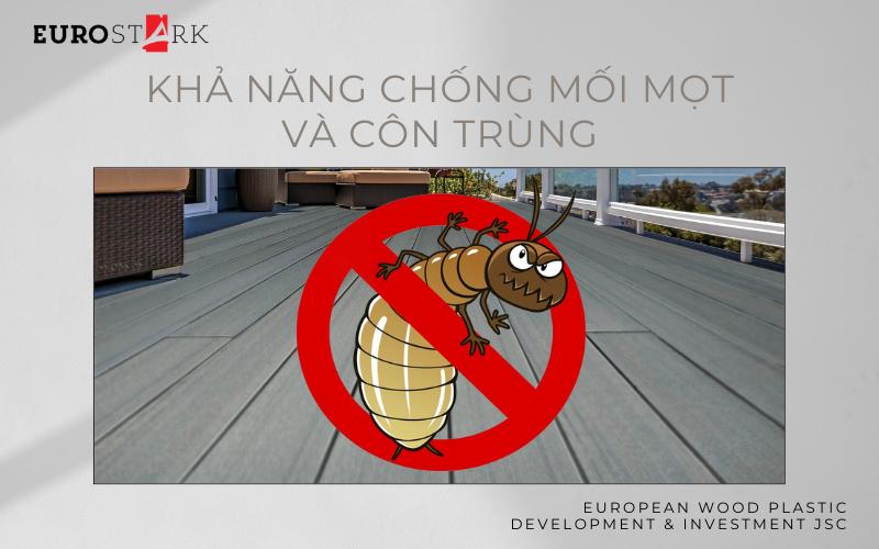 Khả năng chống mối mọt và côn trùng của WPC