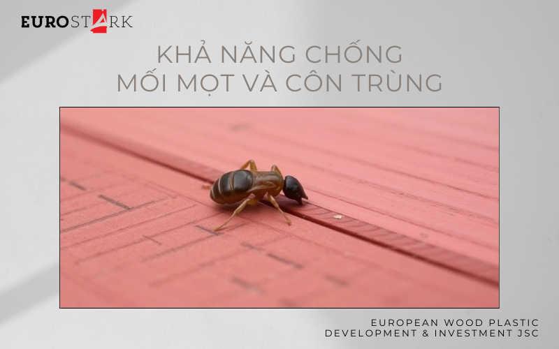 WPC Có Khả Năng Chống Mối Mọt Và Côn Trùng