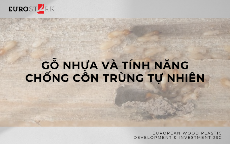 Tính năng chống côn trùng của gỗ nhựa