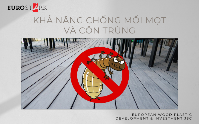 Khả năng chống mối mọt và côn trùng của gỗ nhựa