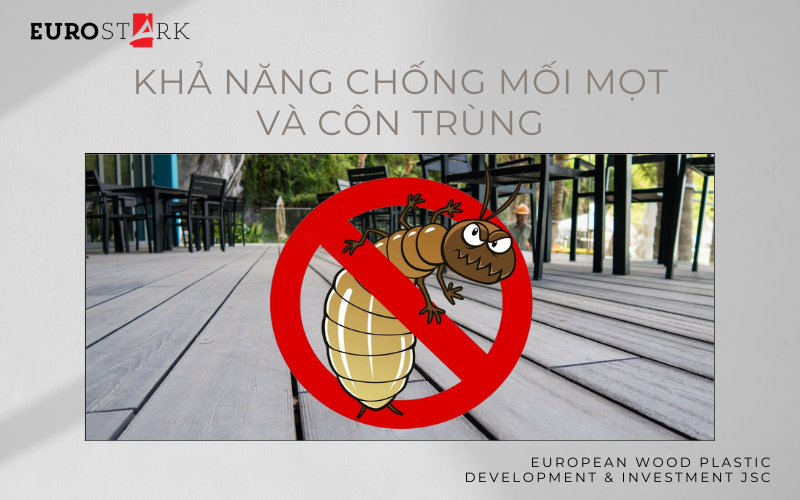 Khả năng chống mối mọt và côn trùng của nhựa gỗ châu âu